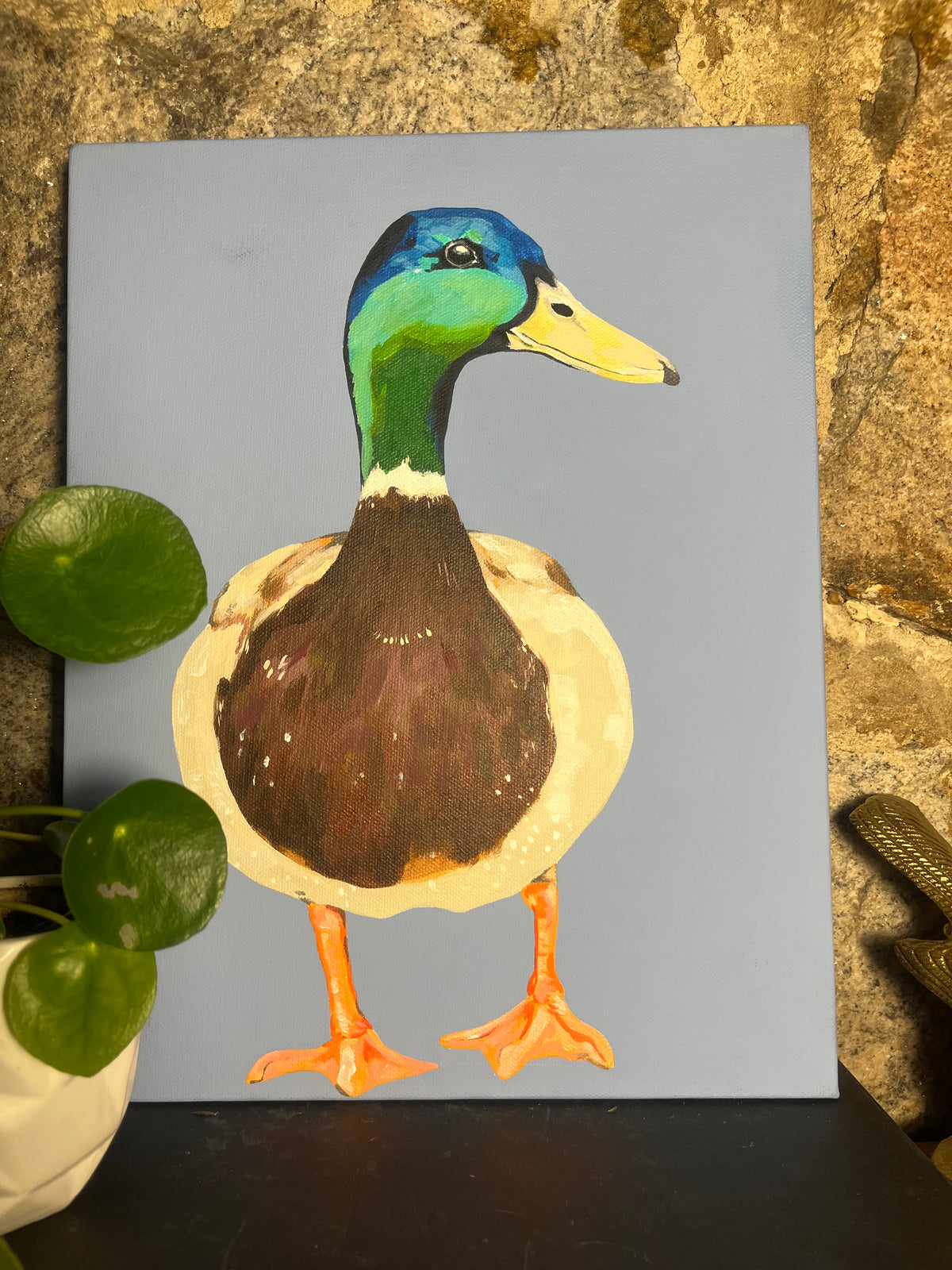 Marley the Mallard Duck