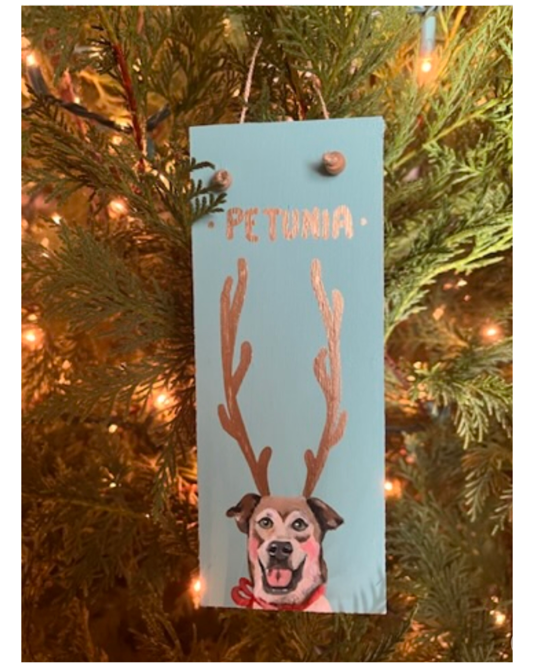 Custom Holiday Pet Ornaments