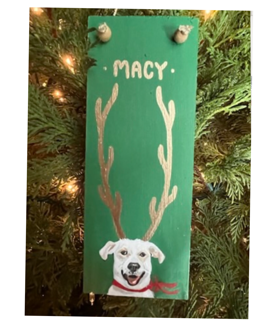 Custom Holiday Pet Ornaments