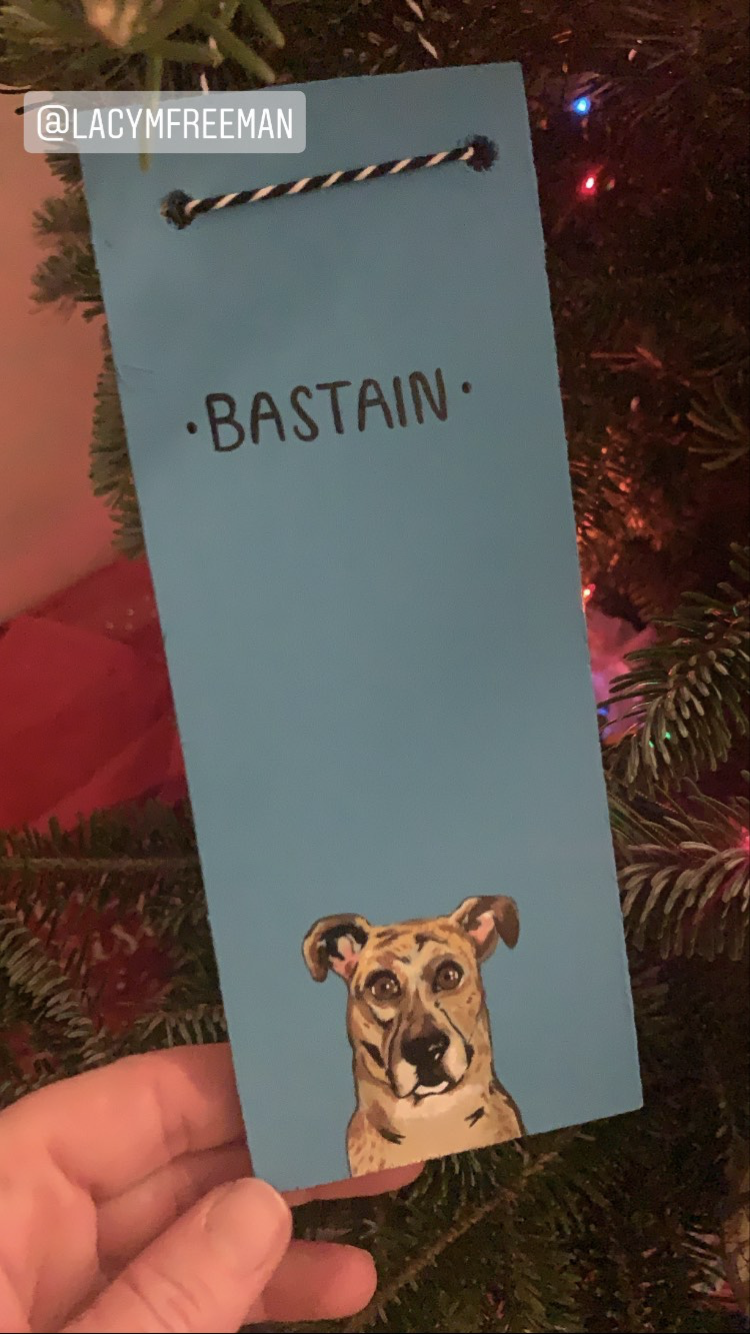 Custom Holiday Pet Ornaments