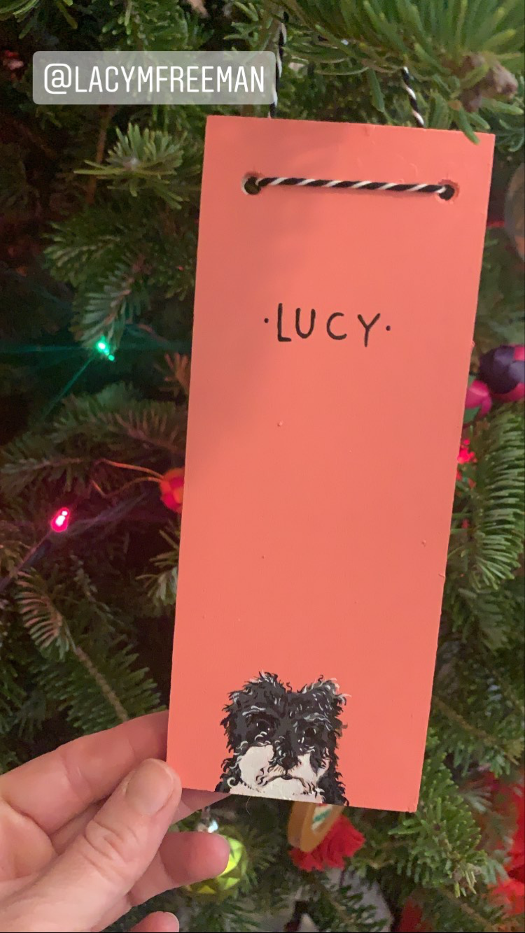 Custom Holiday Pet Ornaments