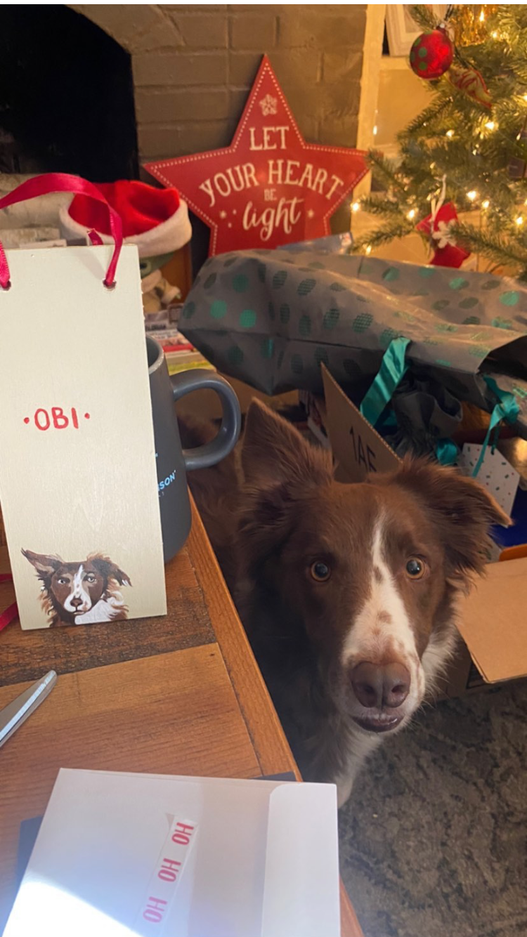 Custom Holiday Pet Ornaments
