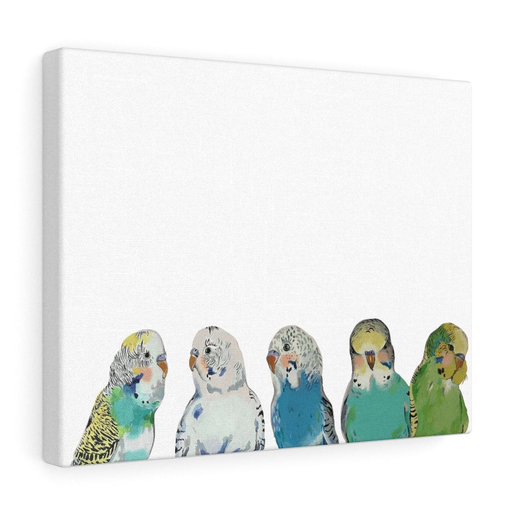 Parakeet Party on Canvas Gallery Wrap