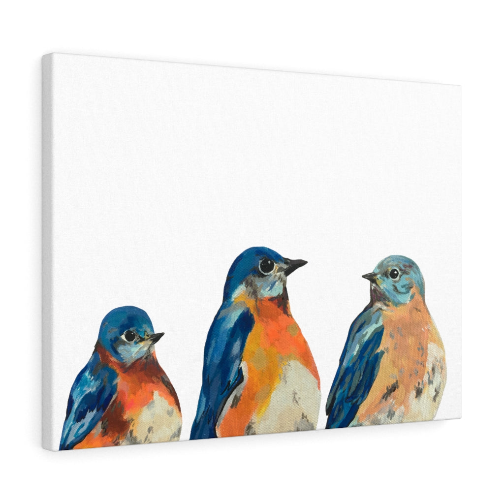 Three Bluebirds on Canvas Gallery Wrap