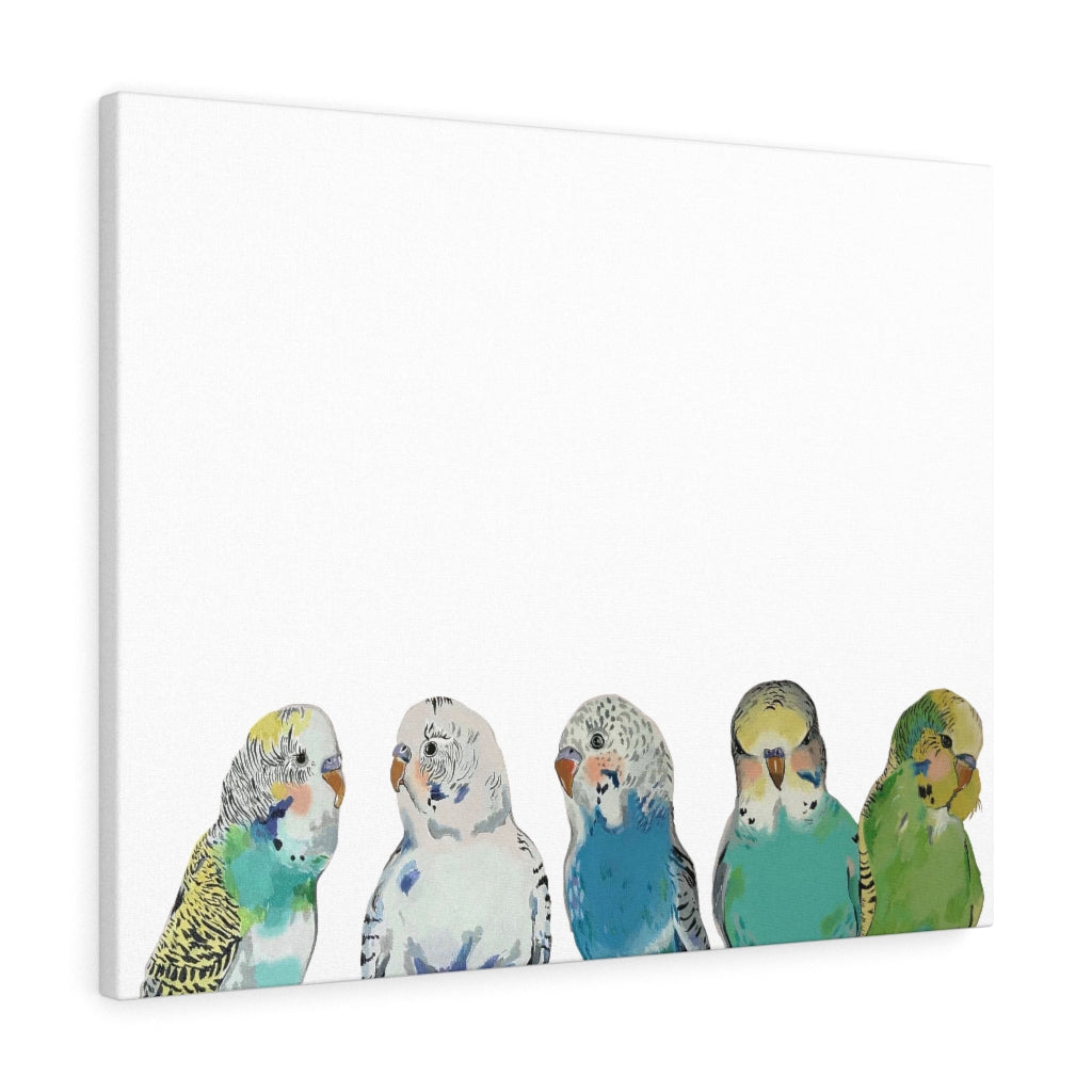 Parakeet Party on Canvas Gallery Wrap