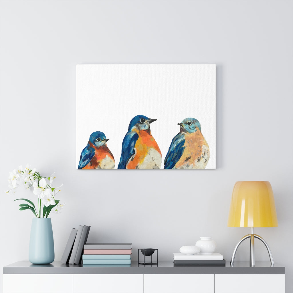 Three Bluebirds on Canvas Gallery Wrap