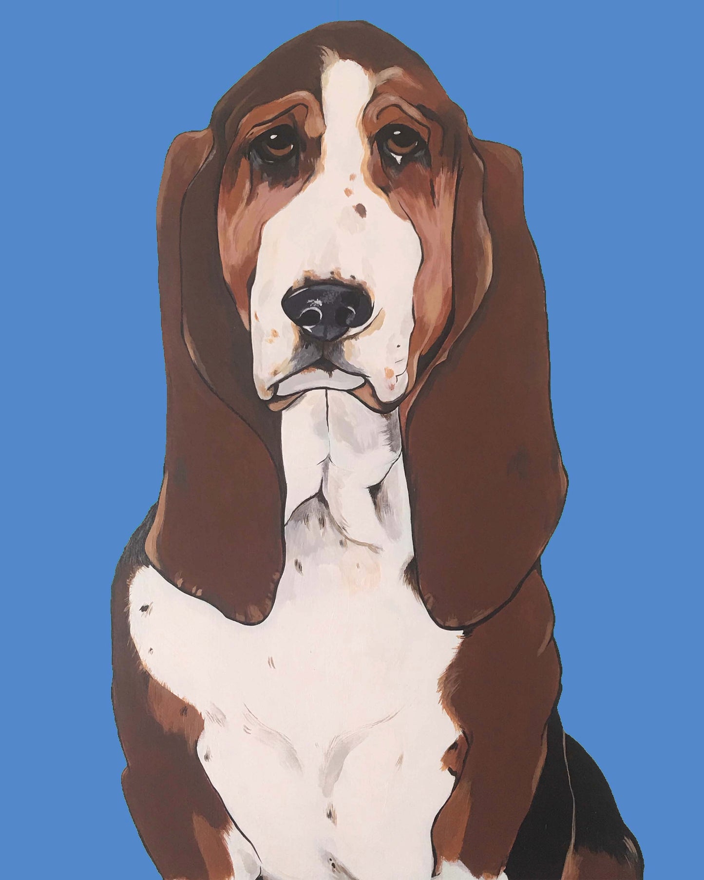 Buster the Basset Hound
