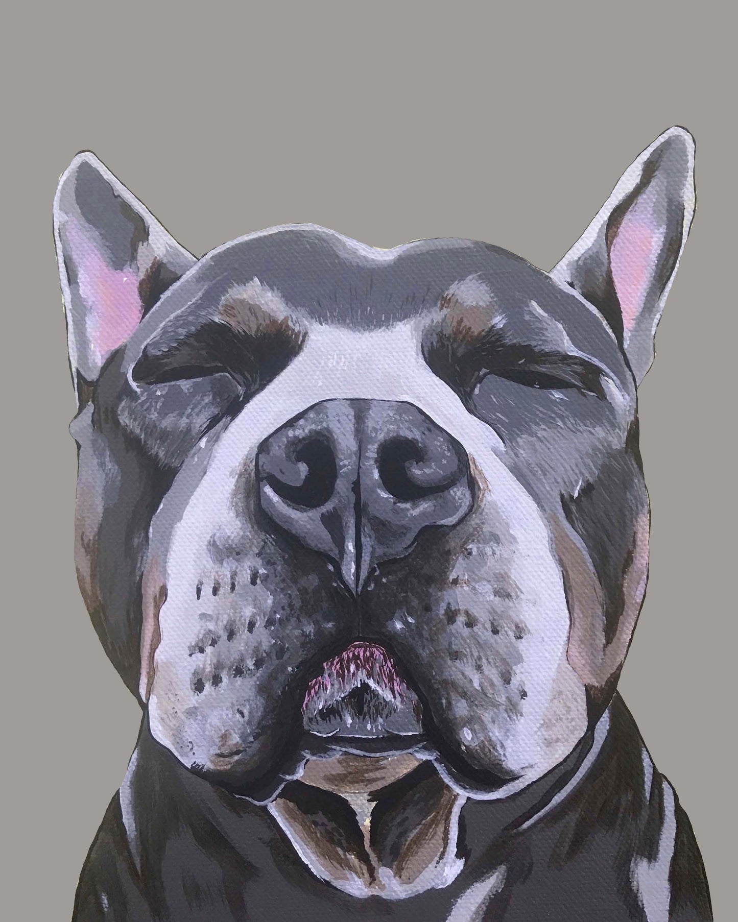 Phineas the Pitbull