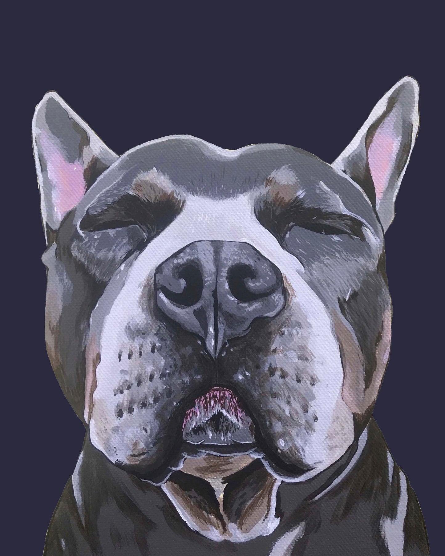 Phineas the Pitbull