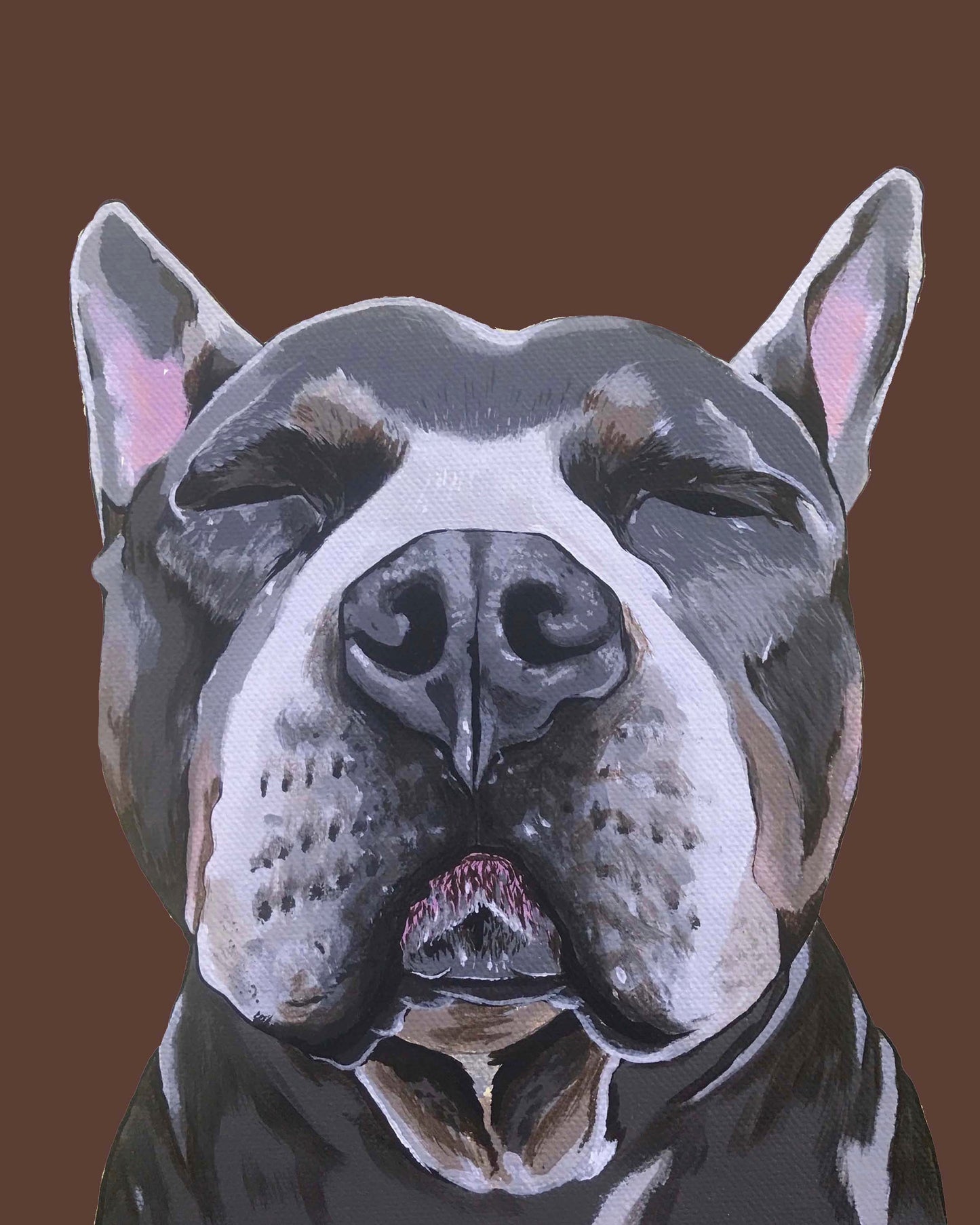 Phineas the Pitbull