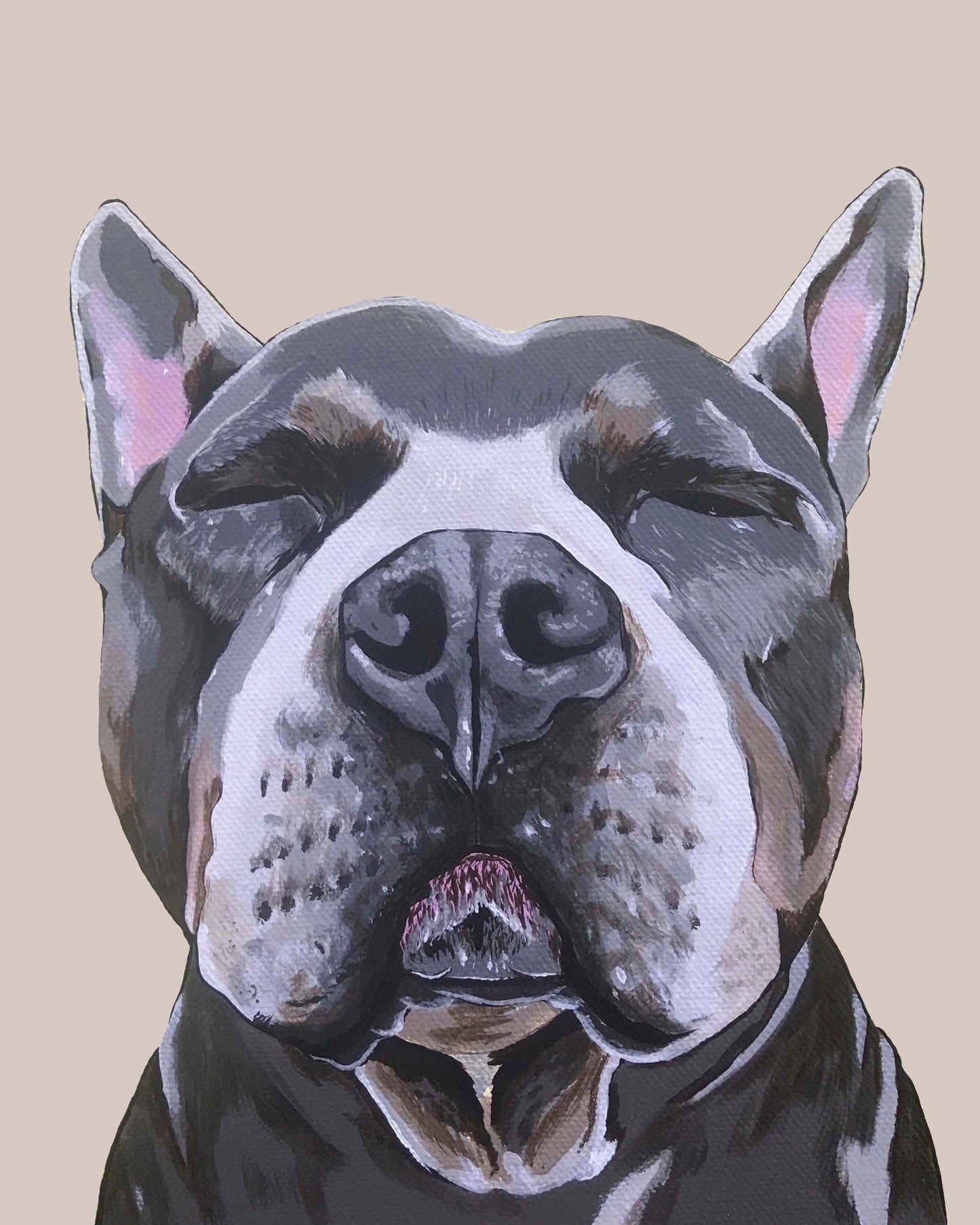 Phineas the Pitbull