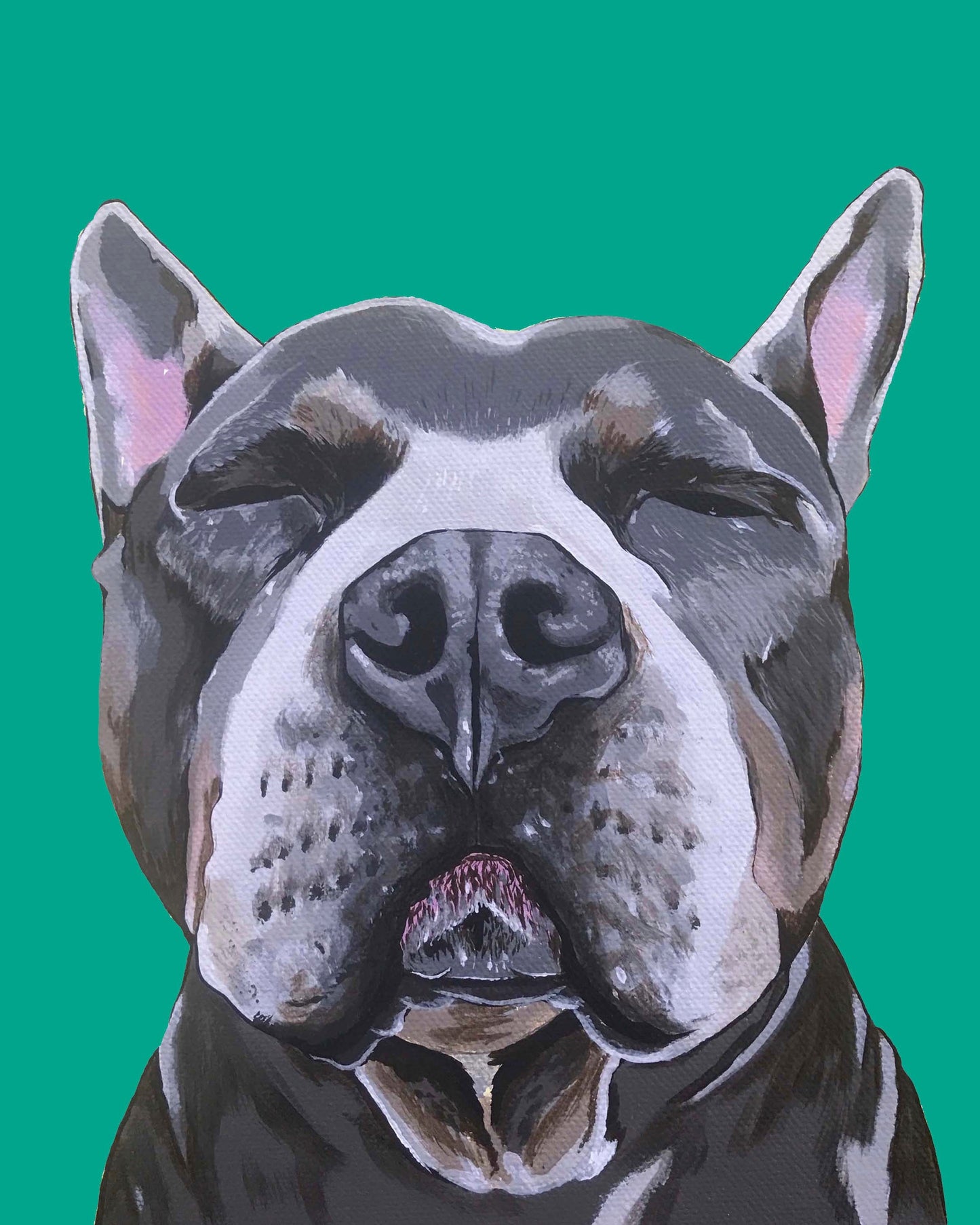 Phineas the Pitbull