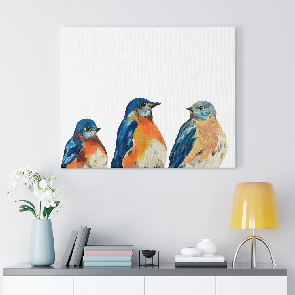 Three Bluebirds on Canvas Gallery Wrap