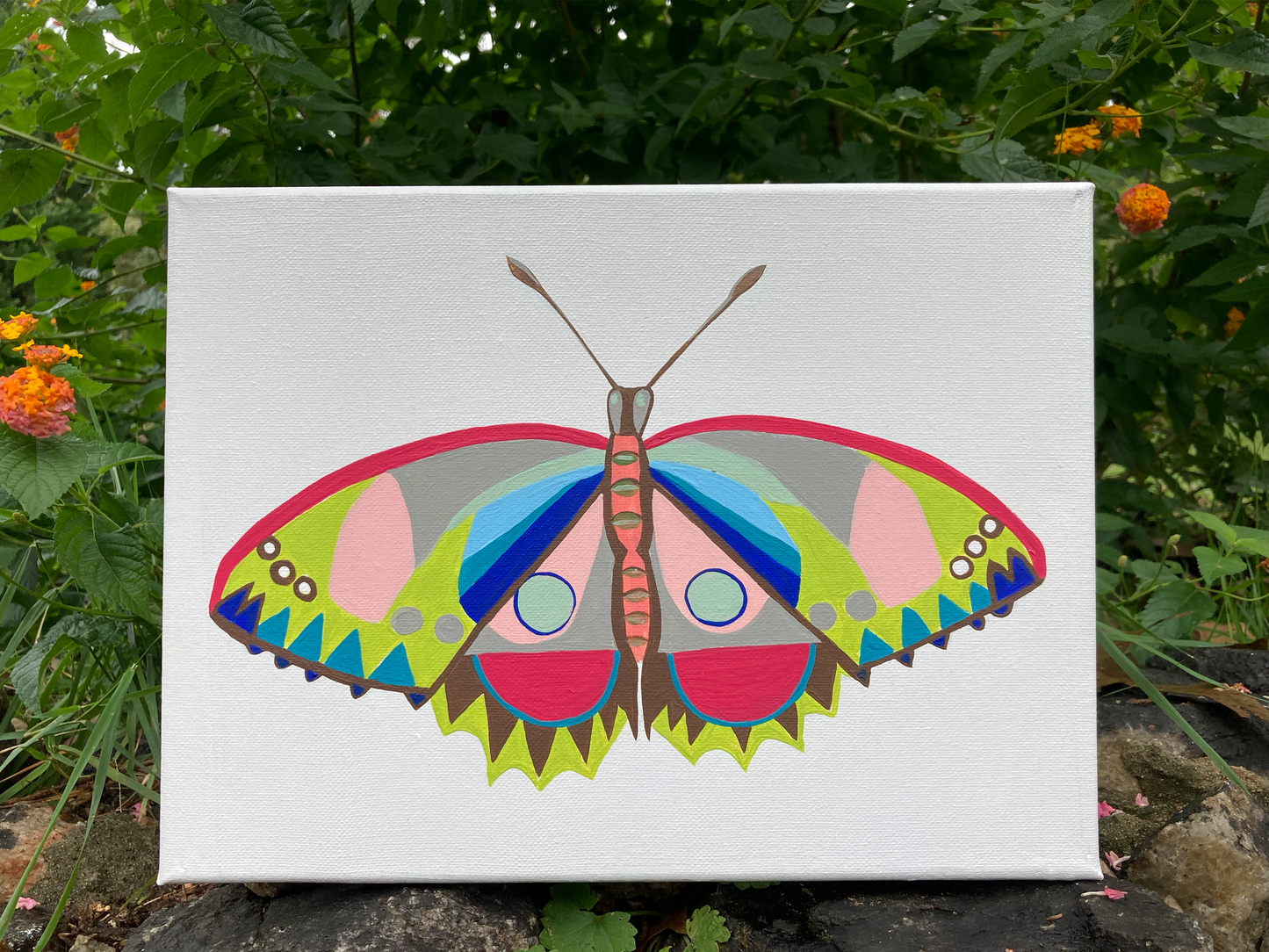 Butterfly 10.