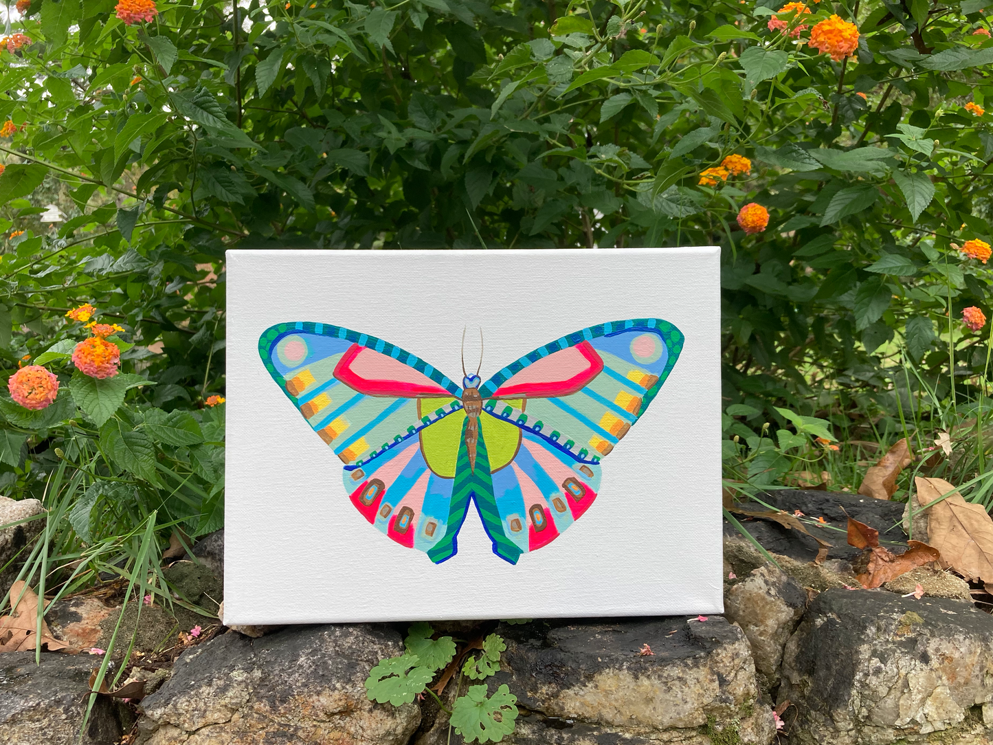 Butterfly 3.