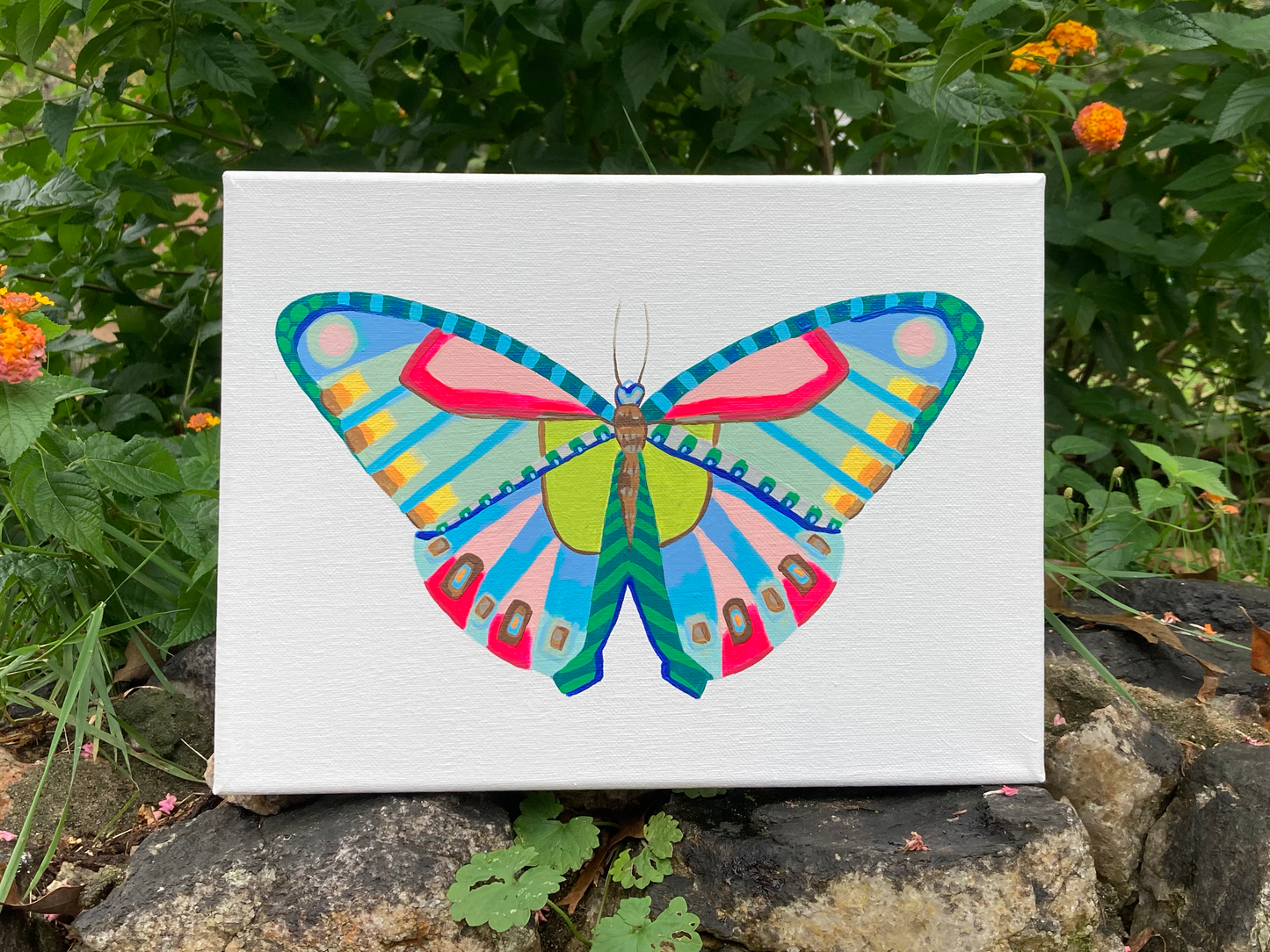 Butterfly 3.