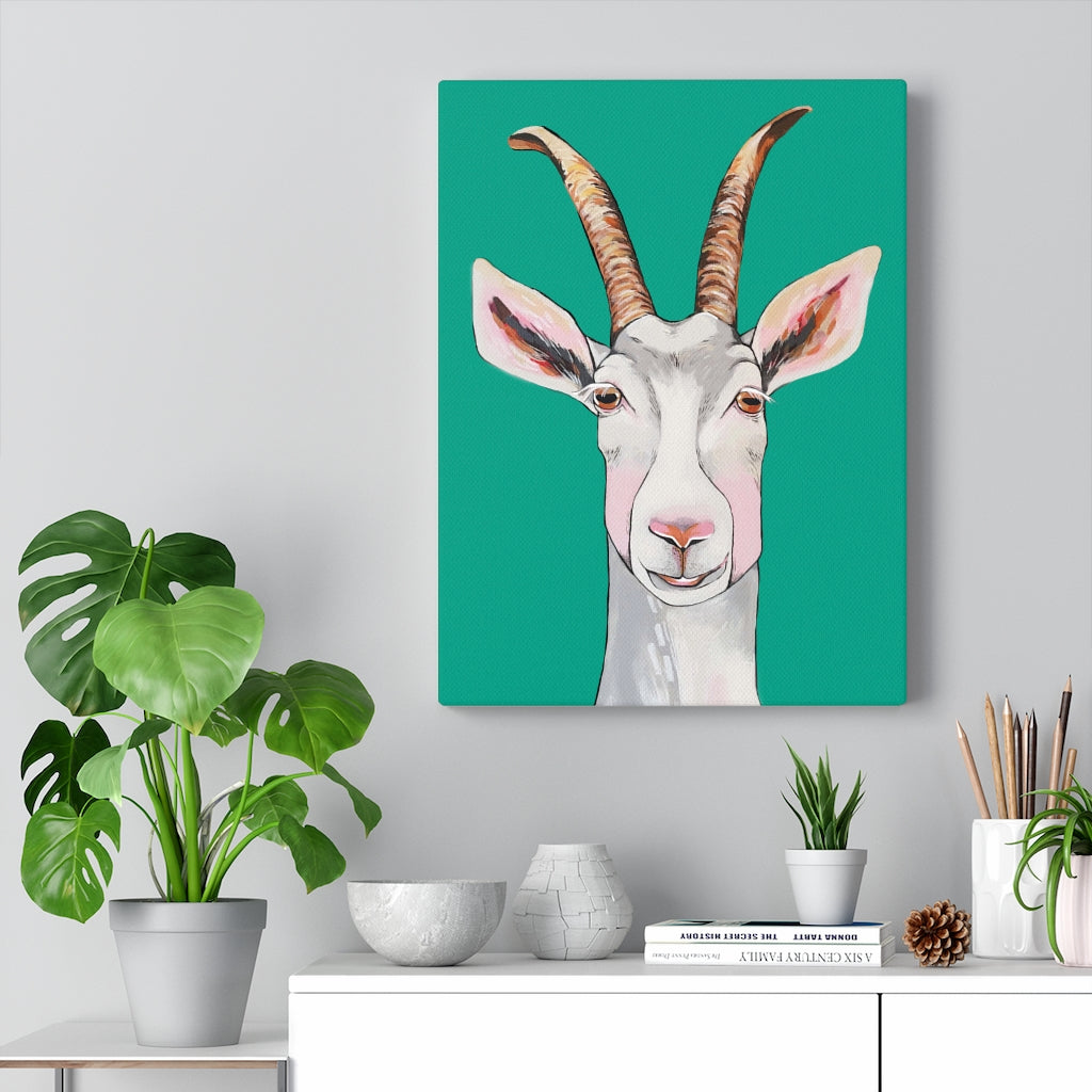 Billy the Goat Canvas Gallery Wrap