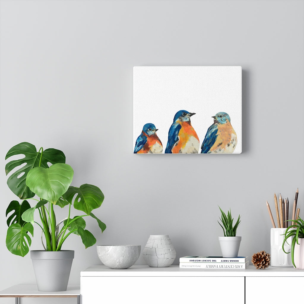 Three Bluebirds on Canvas Gallery Wrap