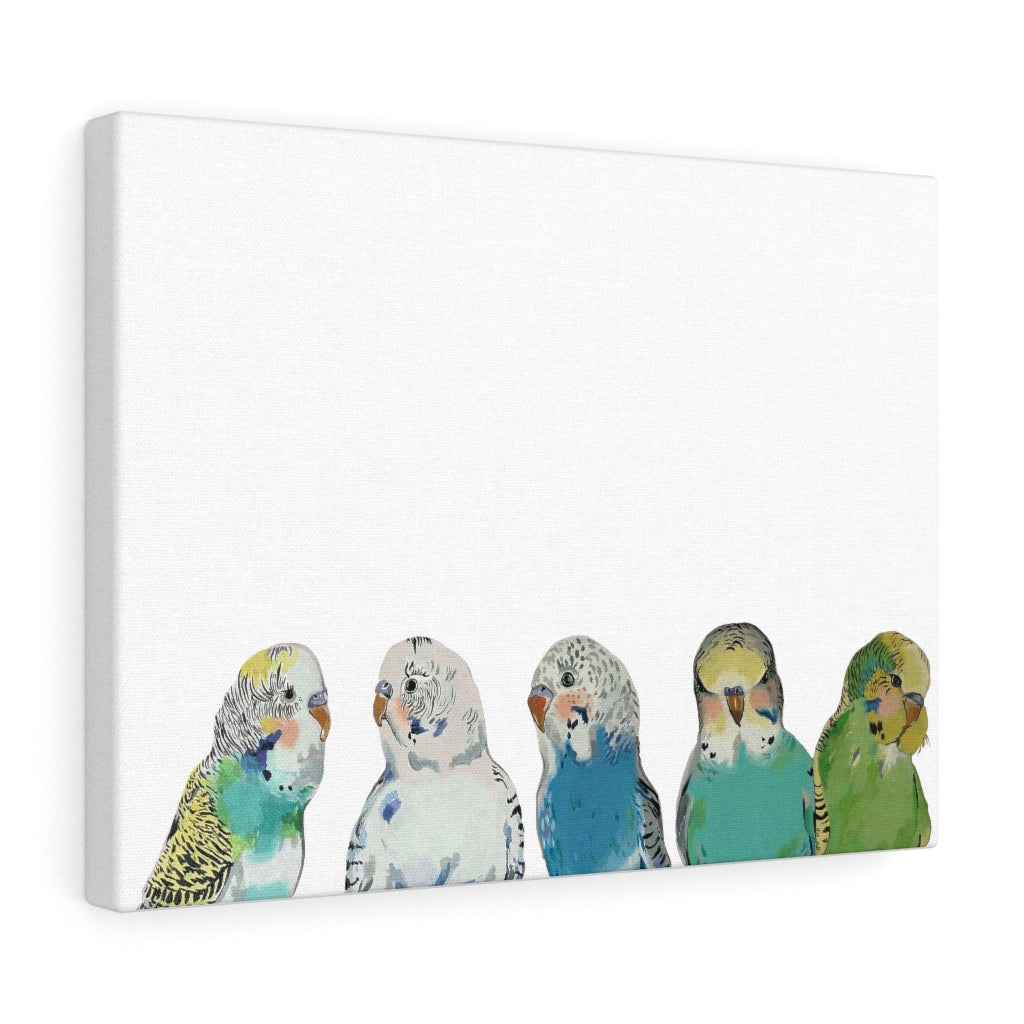 Parakeet Party on Canvas Gallery Wrap