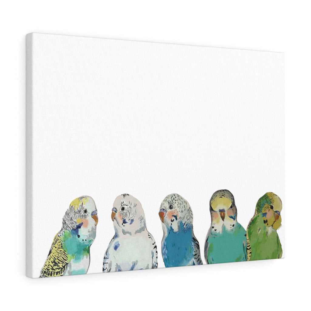 Parakeet Party on Canvas Gallery Wrap
