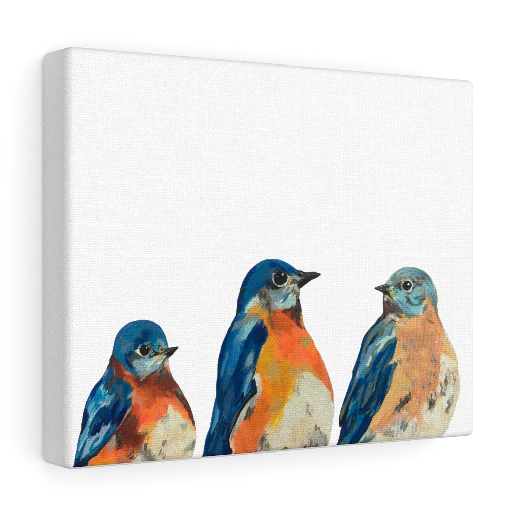 Three Bluebirds on Canvas Gallery Wrap