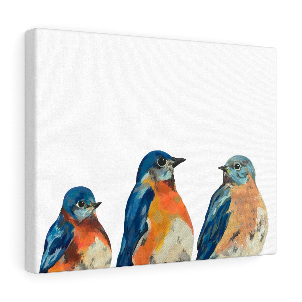 Three Bluebirds on Canvas Gallery Wrap