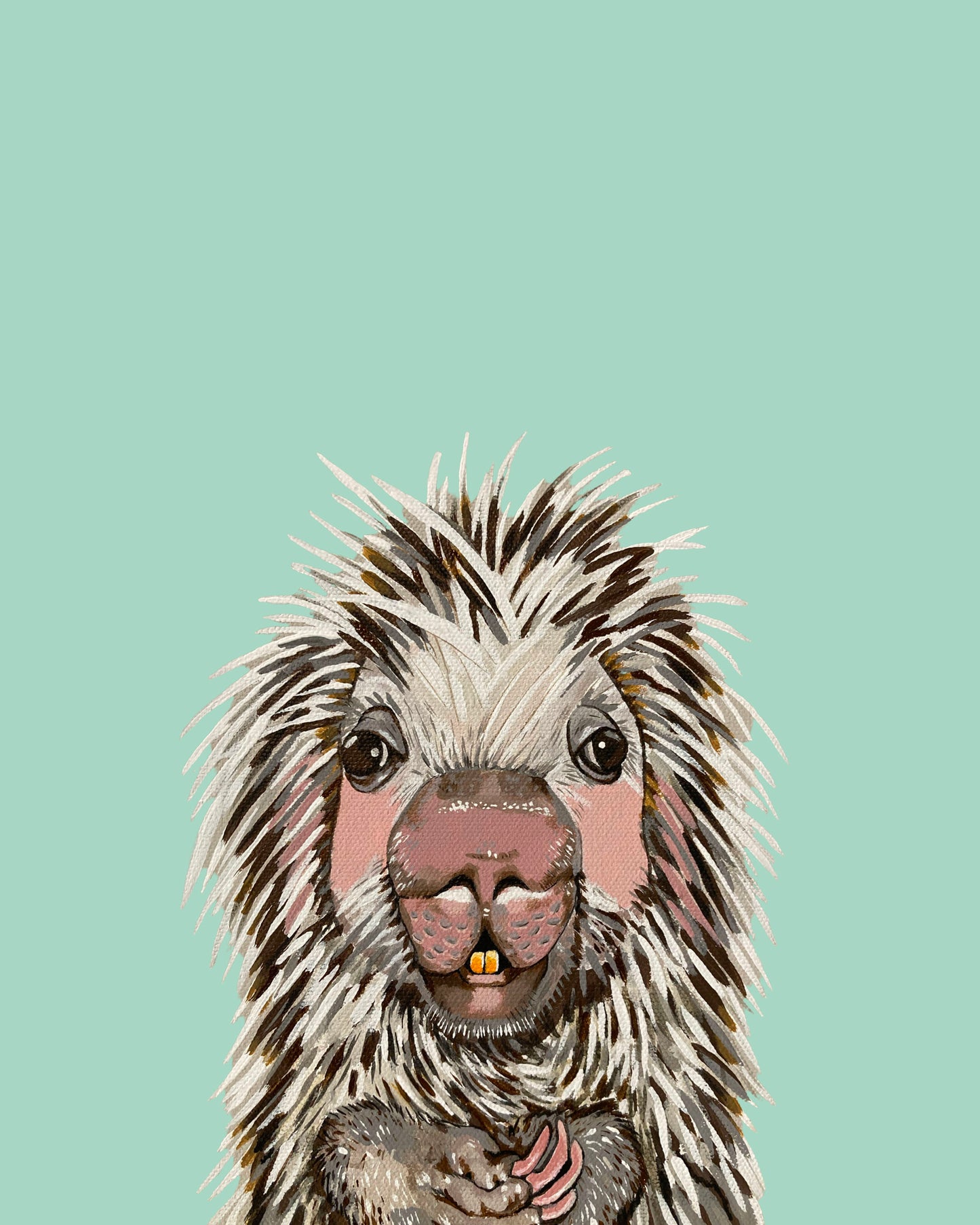 Parker the Porcupine