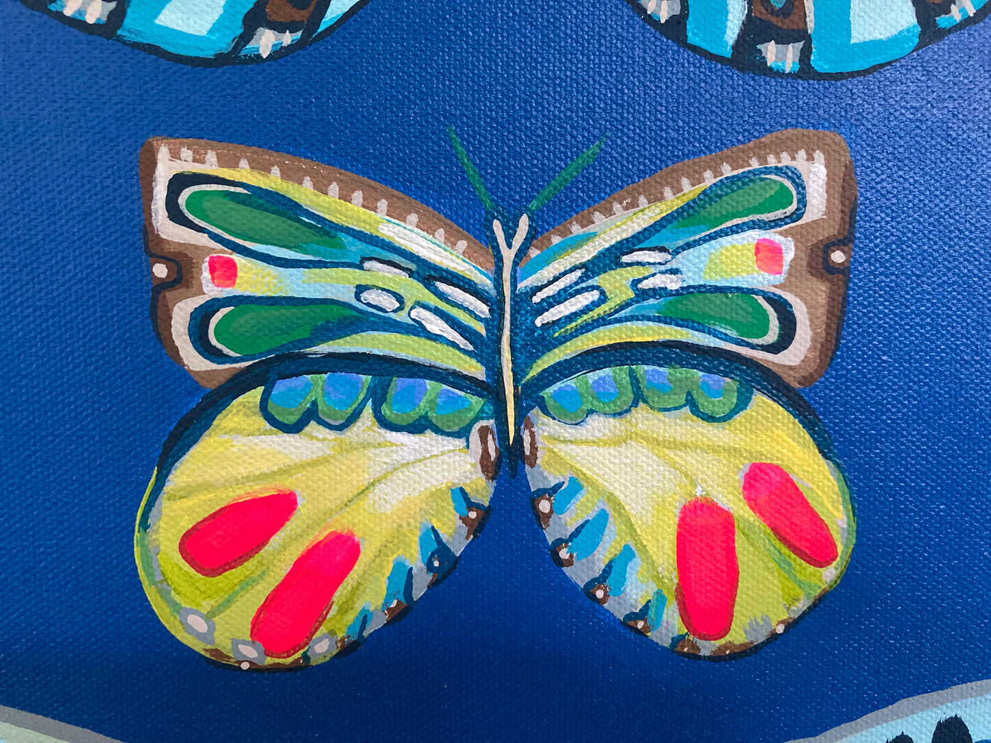 Butterfly 11,12,13,14,15