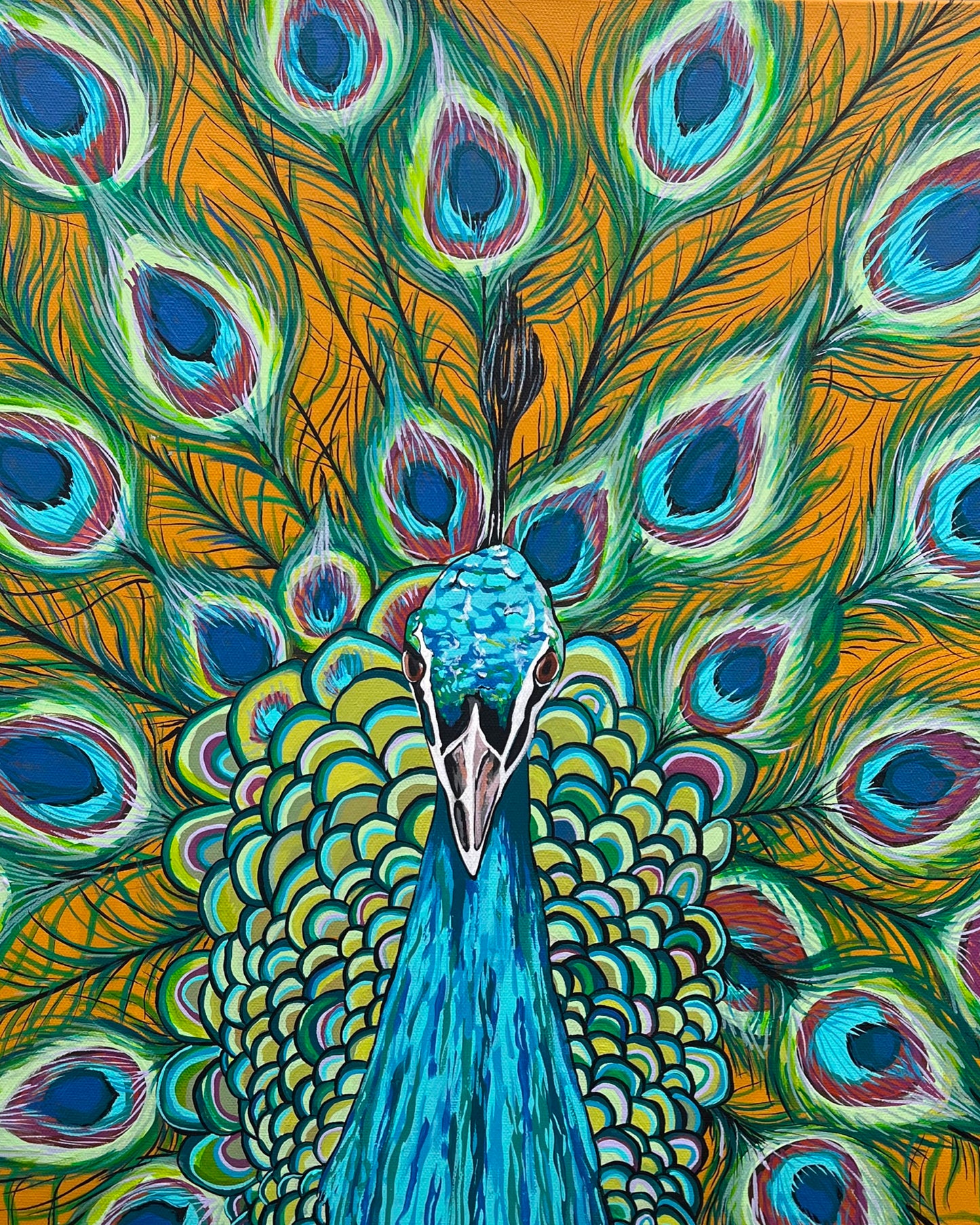 Peter the Peacock