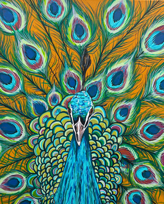 Peter the Peacock