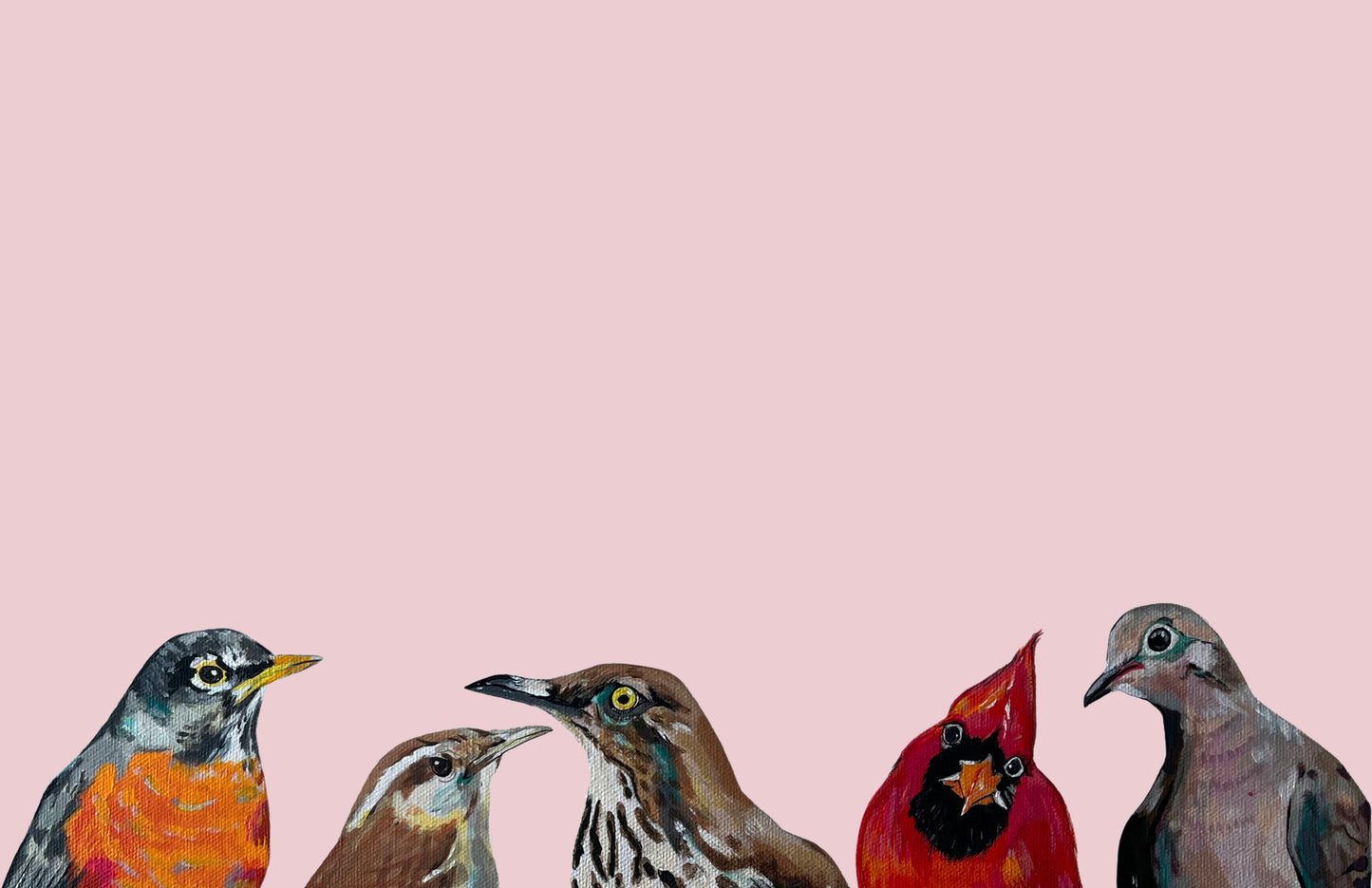 Backyard Birds of Georgia