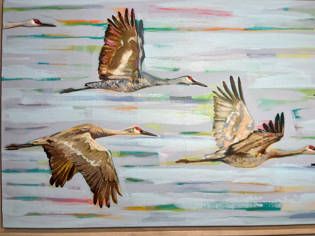 Cranes in Flight