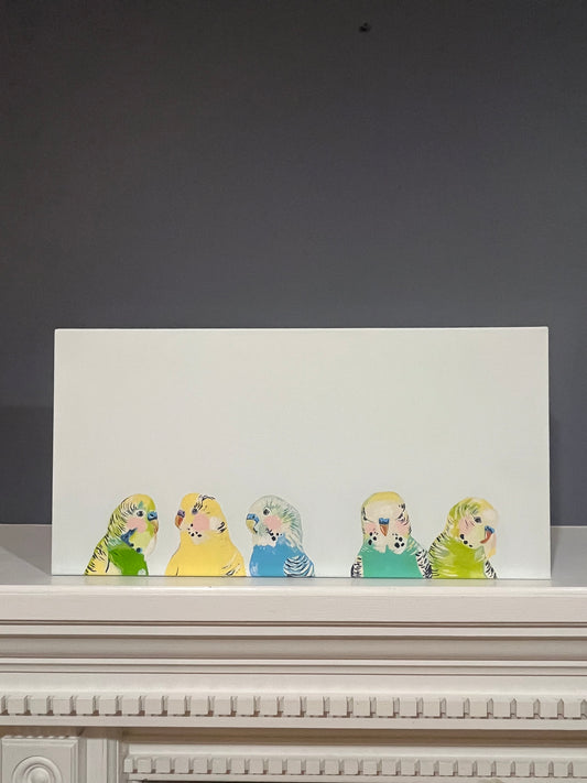 Buncha Budgies