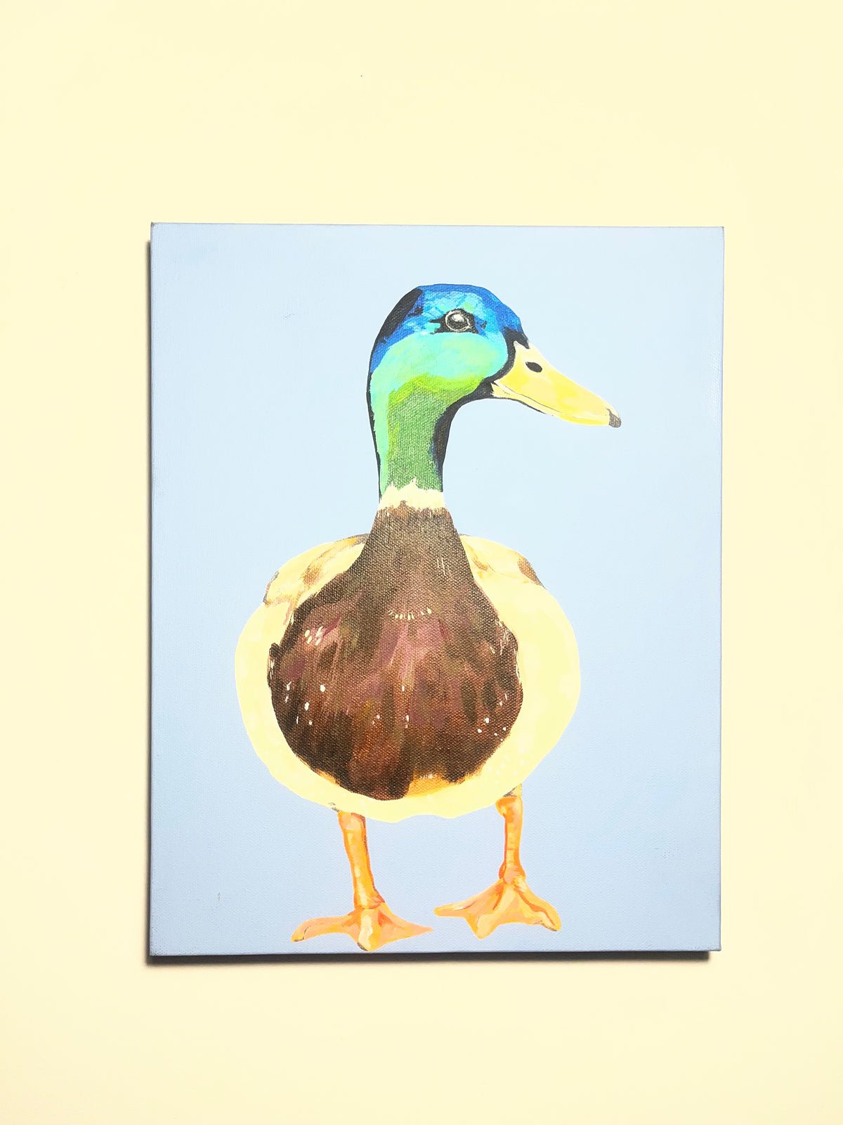 Marley the Mallard Duck