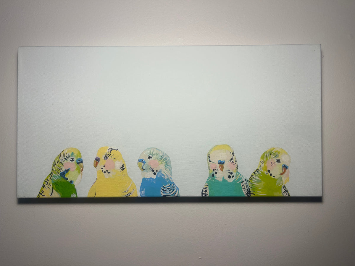 Buncha Budgies