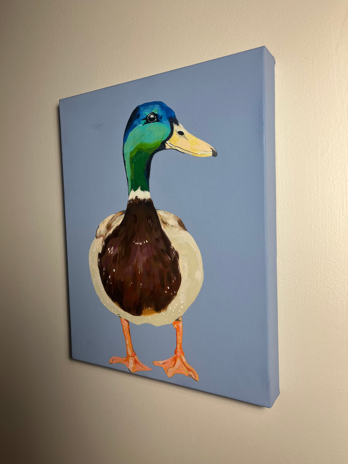 Marley the Mallard Duck