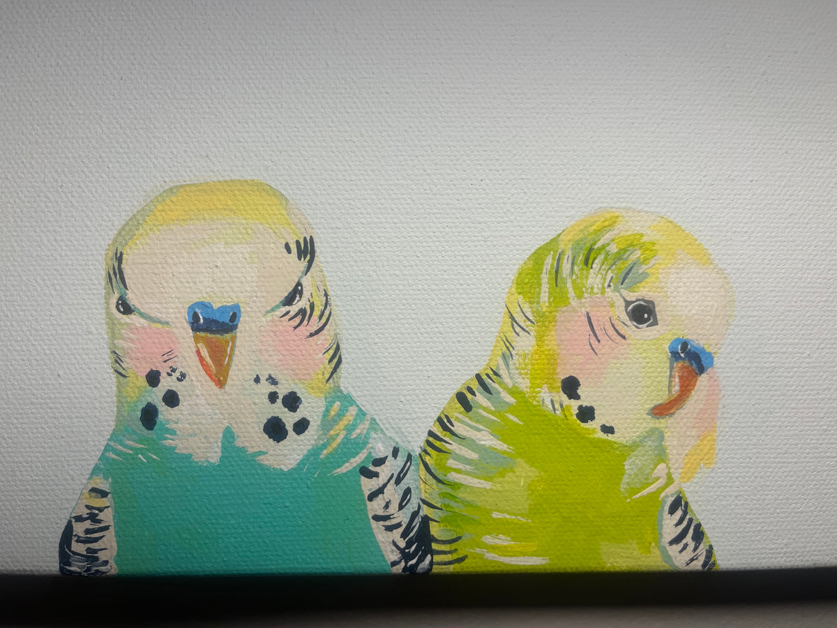 Buncha Budgies