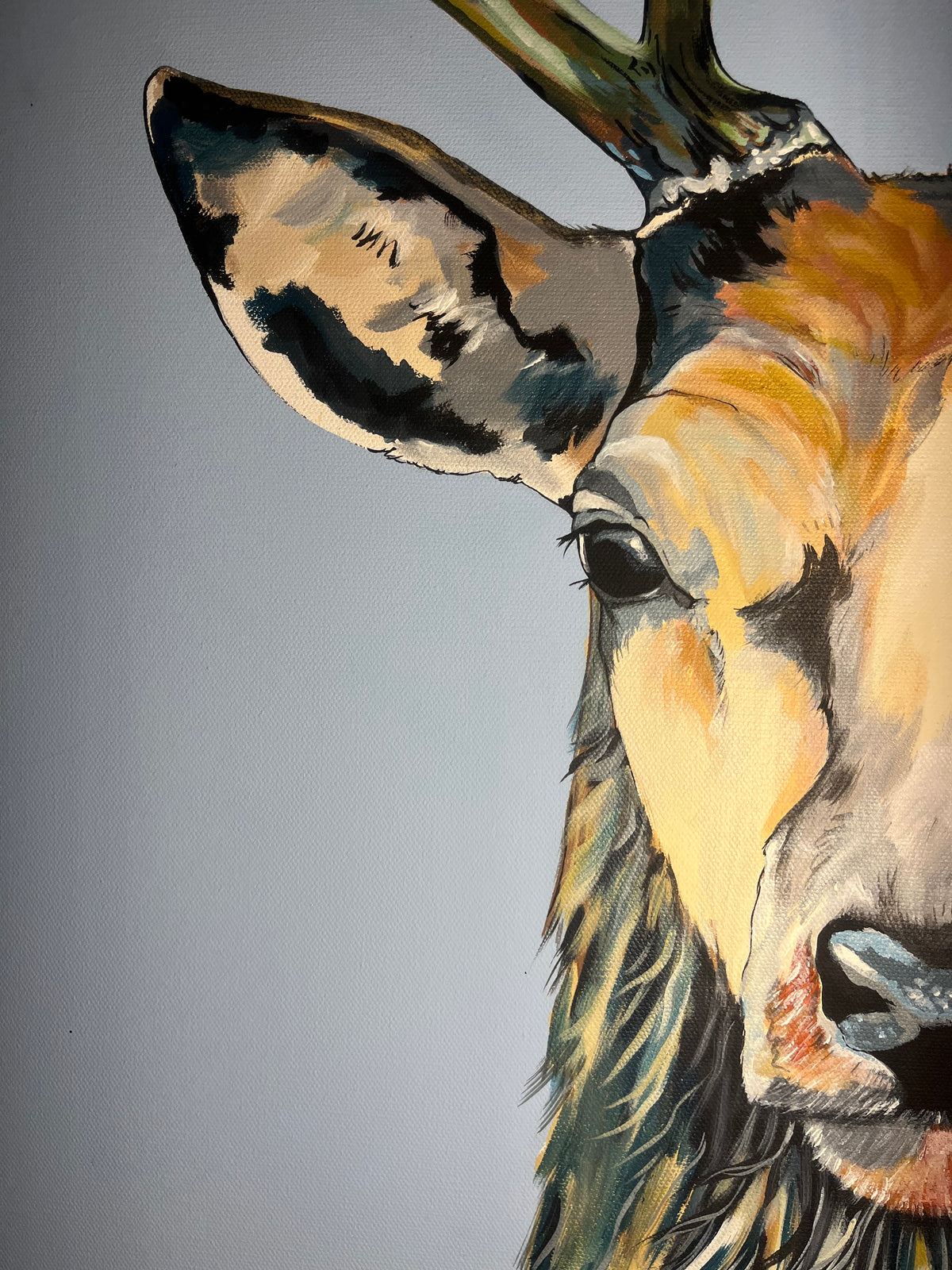 Moss the Buck