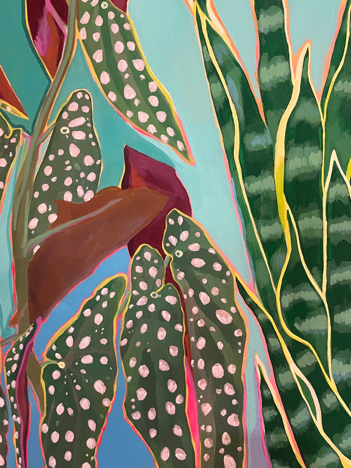 Plant Portrait