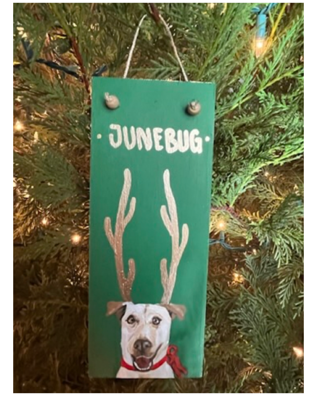 SOLD OUT Custom Holiday Pet Ornaments