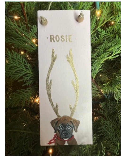 Long Hand Painted Pet Ornaments