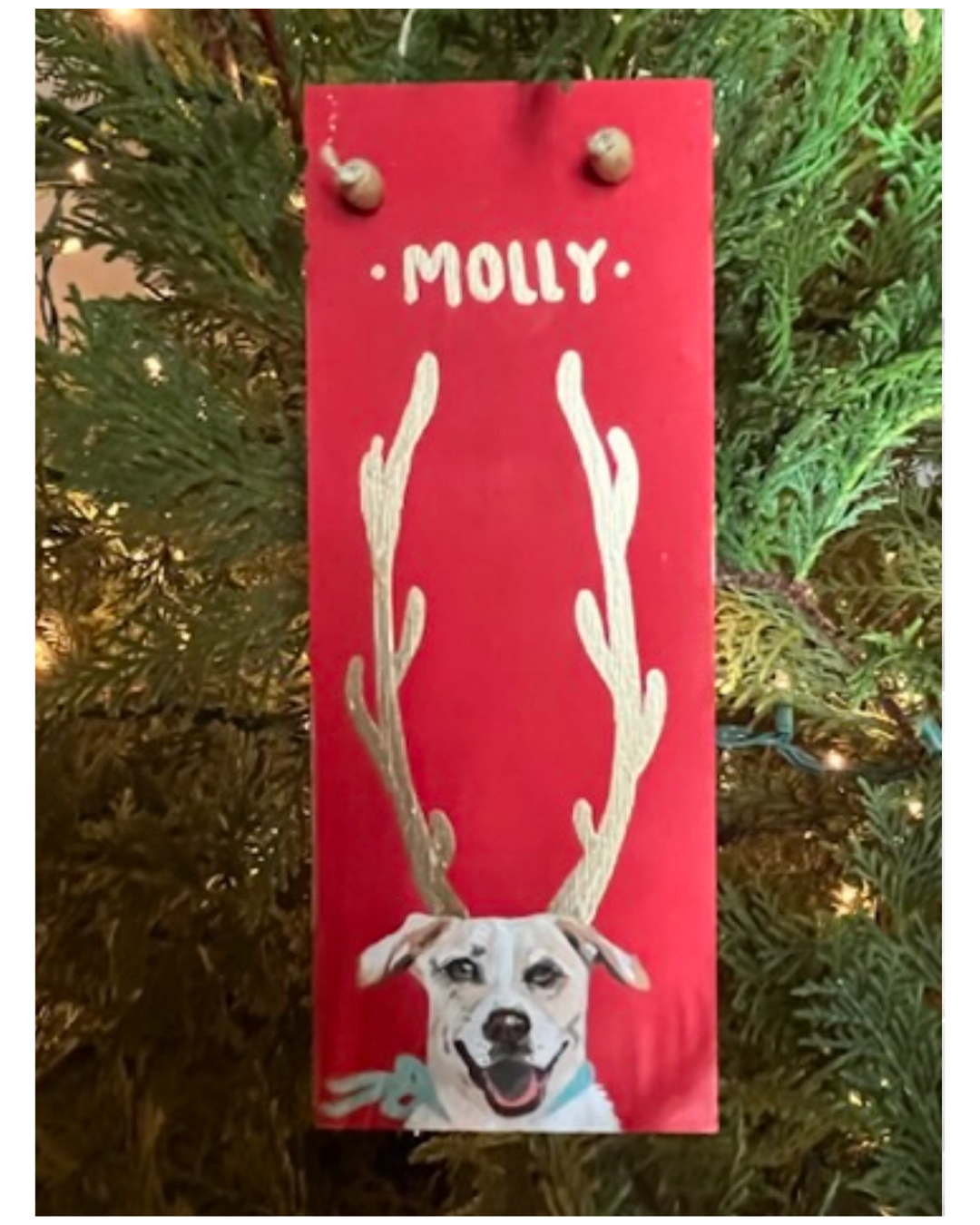Custom Holiday Pet Ornaments