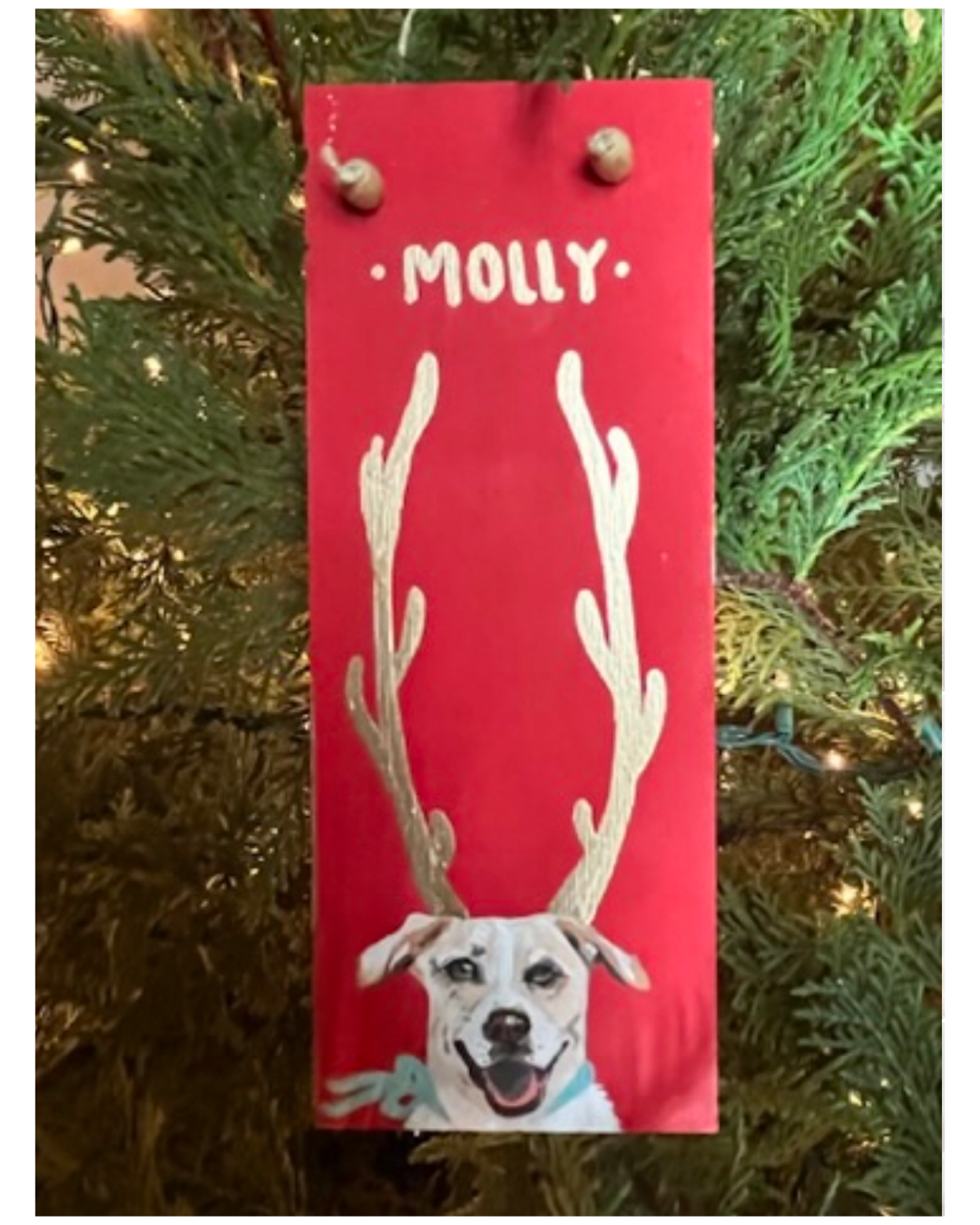 SOLD OUT Custom Holiday Pet Ornaments