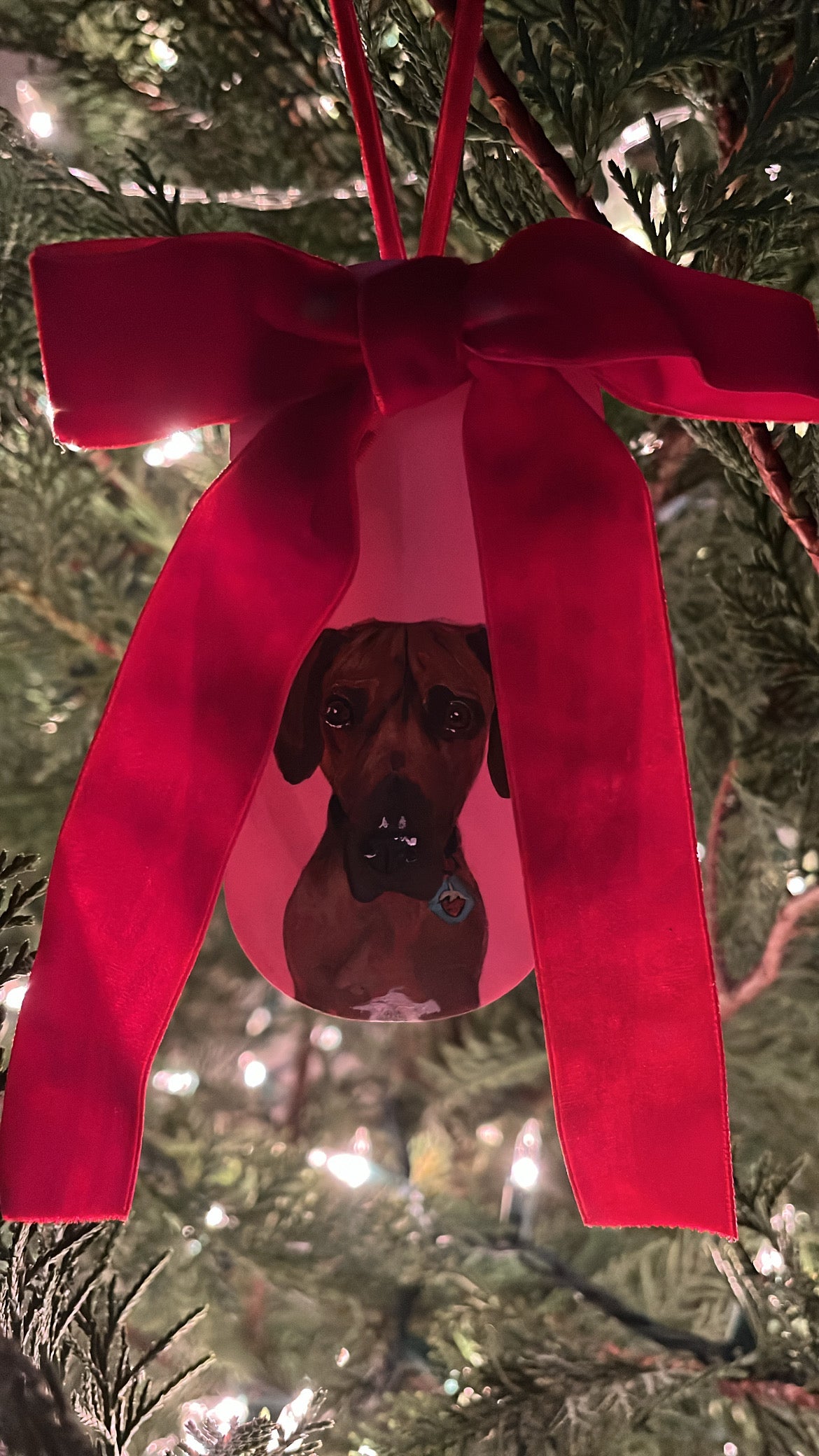 Long Hand Painted Pet Ornaments