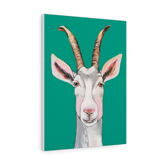 Billy the Goat Canvas Gallery Wrap