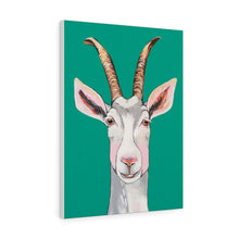 Load image into Gallery viewer, Billy the Goat Canvas Gallery Wrap
