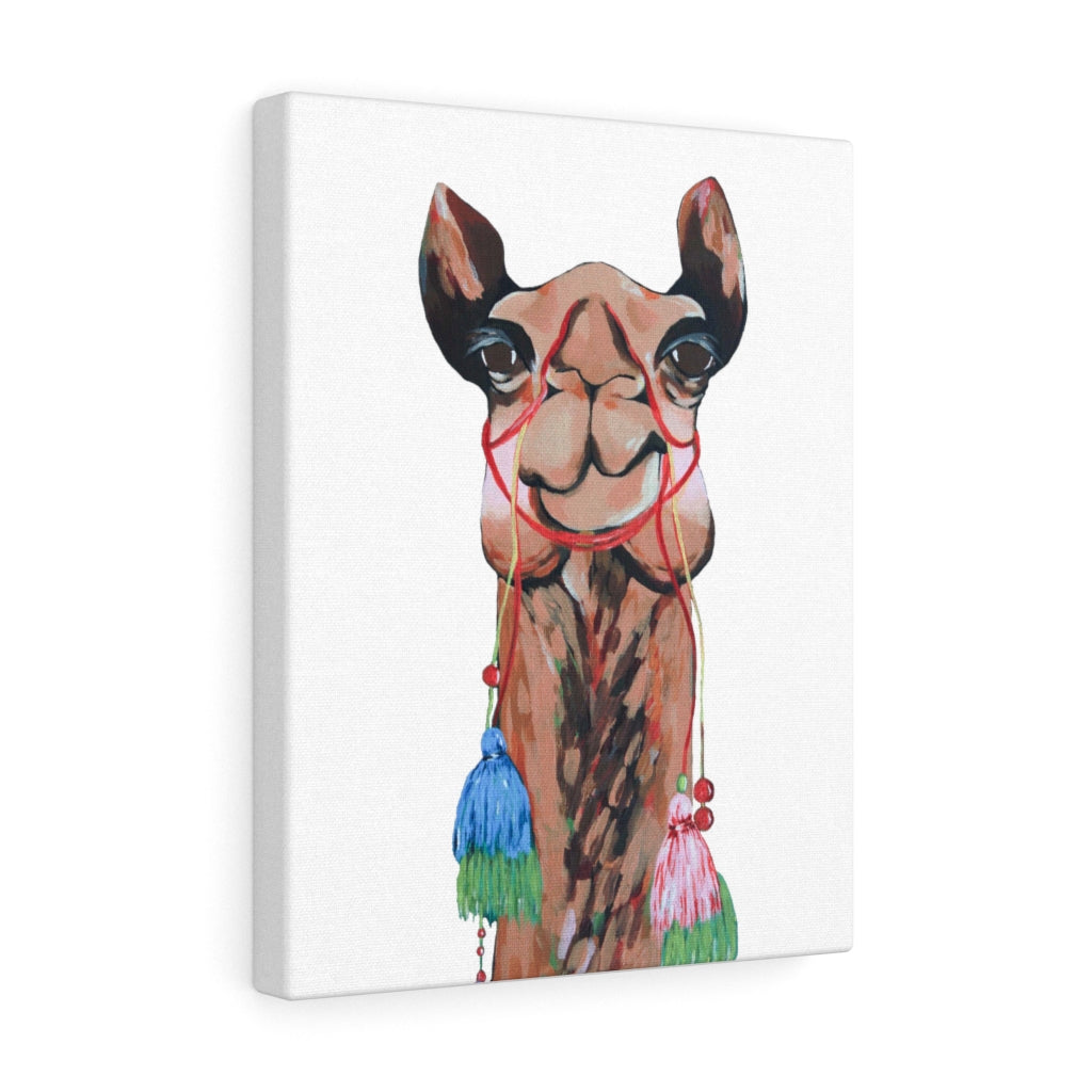 Sienna the Camel on Canvas Gallery Wrap