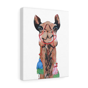 Sienna the Camel on Canvas Gallery Wrap