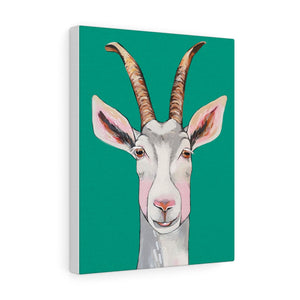 Billy the Goat Canvas Gallery Wrap