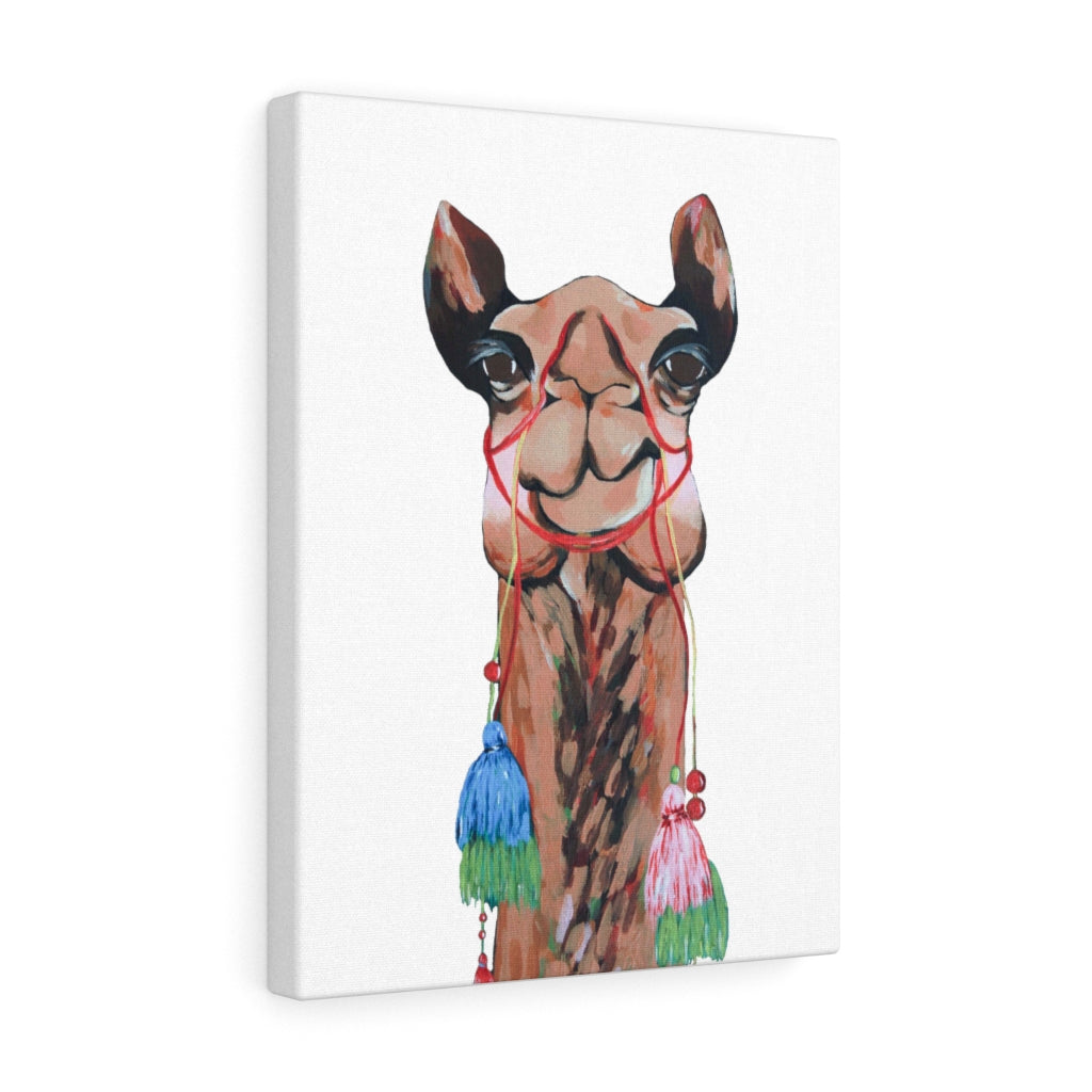 Sienna the Camel on Canvas Gallery Wrap